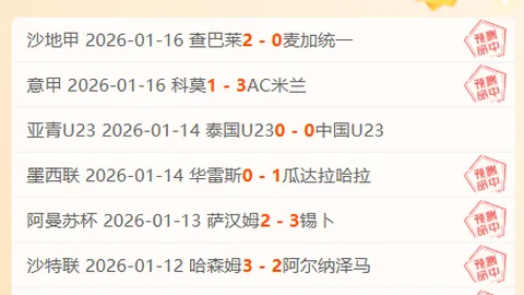 罗塞尼尔分析：里斯詹姆斯绊倒未判点球原因，大乐透专家质合分析